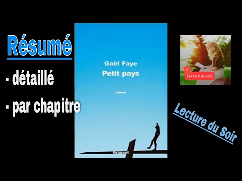 R1 - Résumé de Petit Pays - détaillé par chapitre - Gaël Faye - Chapitre 1à19