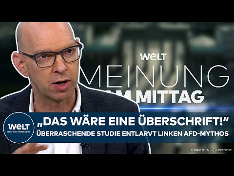 DEUTSCHLAND: Eigentor! Überraschende Studie von SPD-Stiftung entlarvt linken AfD-Mythos!