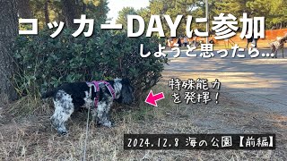 【イベント参加#2】2024.12.8 コッカーDAY【前編】　イングリッシュコッカースパニエル 「みみ」の気持ち