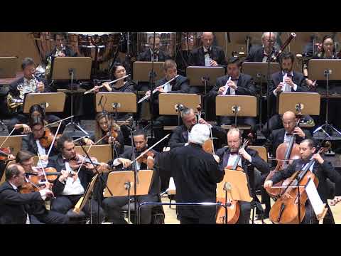 Brahms 2. Symphony  - 3  Movement " Allegretto grazioso"