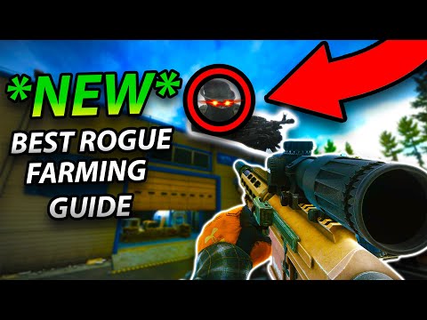 HOW TO EASILY CLEAR THE ROGUE COMPOUND IN TARKOV .16.5 | *NEW* WAY TO FARM ROGUES & RARE LOOT SPAWNS