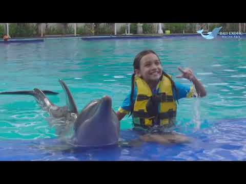 Bali Exotic Marine Park Dolphin featuring Diana Danielle & Farid Kamil Family from Astro TV