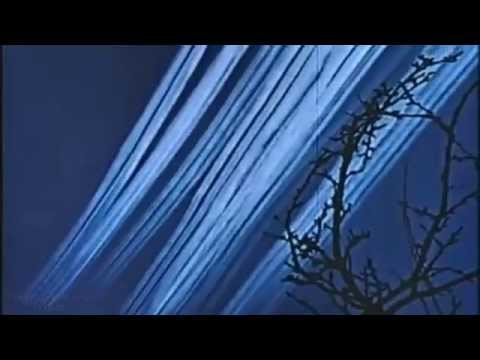 P:E Der "Schwarzer Donnerstag" / The Black Thursday 43