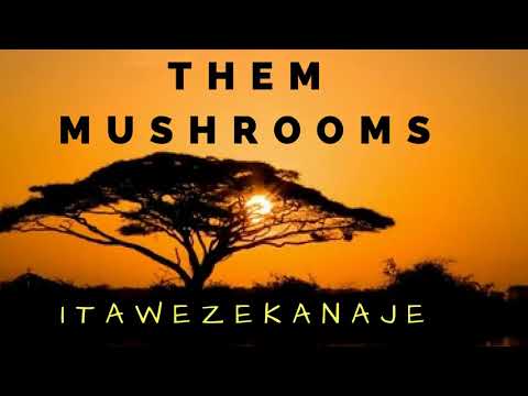 Them Mushrooms - Itawezekanaje | Full Audio Song