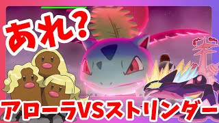 フシギソウ ポケットモンスター ジラーチ ハハコモリ コアルヒー フシギソウ ポケットモンスター ジラーチ ハハコモリ コアルヒー