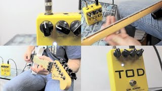 Video thumbnail for Carl Martin TOD Demo by Robert Baker by Robert Baker
