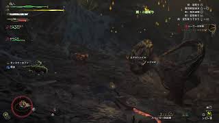わいるず！