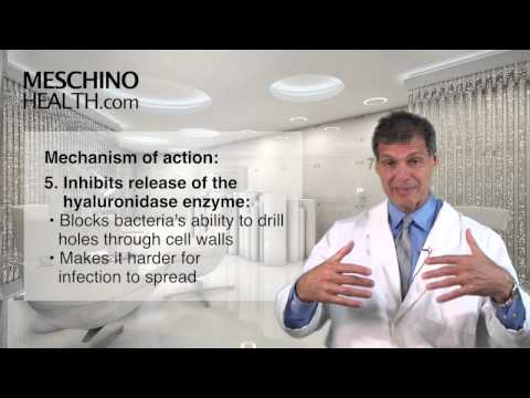 Echinacea: One Of Nature's Immune Modulators