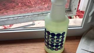 How To Remove Black Mold From Window Sills - Bleach And Kill Mold