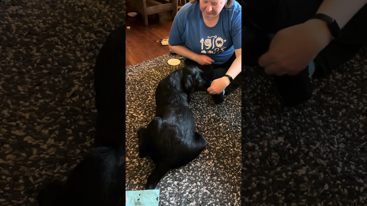 Schooner - Dynamic stretch: neck, lying (DMWYD CCF2)