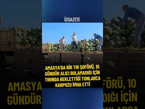 Amasya'da bir tır şoförü, 10 gündür alıcı bulamadığı tonlarca karpuzu imha etti #amasya #karpuz