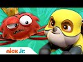 Superhero PAW Patrol Pups Vs Spider King Nick Jr