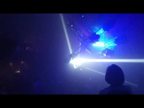 m_division X years - Mutabor