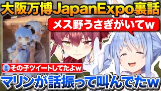 最前列にいたメス野うさぎに話を振る船長+初めてのアウェーライブで不安だったぺこちゃん【ホロライブ/兎田ぺこら/宝鐘マリン/切り抜き】