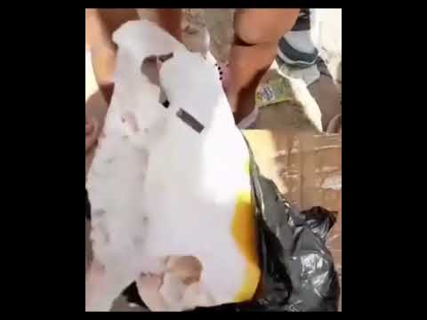 ¡Hallazgo espeluznante en San Miguel del Padrón, Cuba! Lo que encontraron conmociona a todos 😱🇨🇺