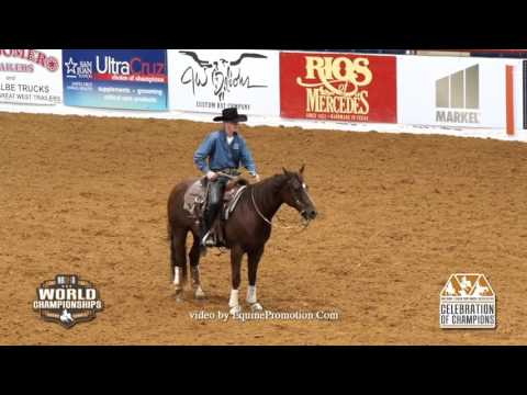 Wyatt Cow Horse World