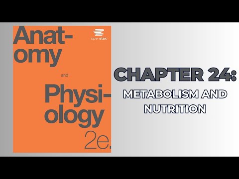 OpenStax Anatomy and Physiology 2e (Audiobook) - Chapter 24: Metabolism and Nutrition