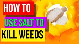 How To Use Salt to Kill Weeds