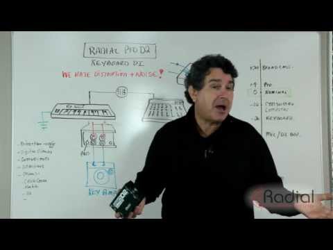 Radial Engineering - Radial Pro D2