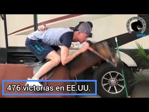 Así entrena el jinete venezolano Francisco Arrieta