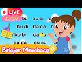 LIVE Belajar Membaca Mengeja Kata Untuk PAUD Bersama Diva Live Stream