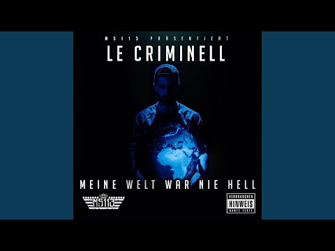 Newcomer Nr. 1 (Bonus)