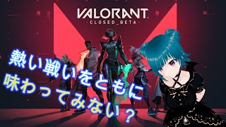 {ヴァロ/コンペ} 少しだけ！コンペ