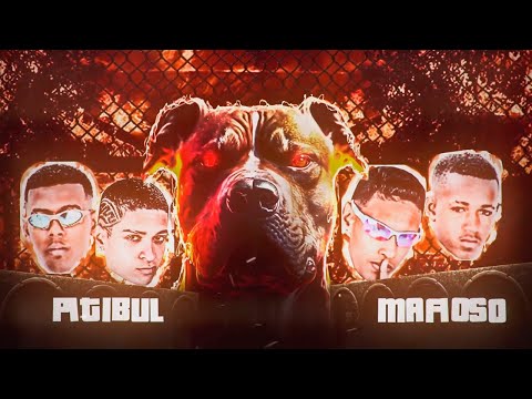 MC 10G, GUI DA TROPA, W9 E TIO CHICO - PITIBUL MAFIOSO - REMIX BREGA FUNK 2023