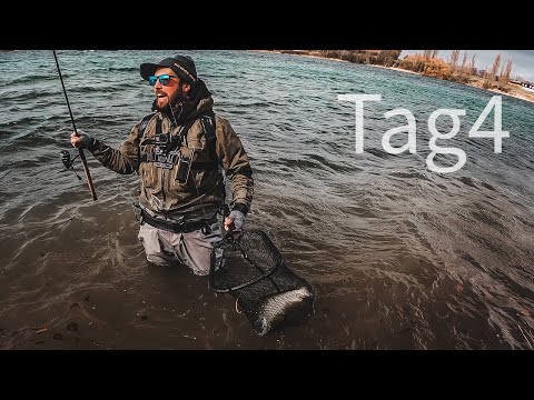 Tag 4 - Meerforellenangeln auf Fünen - Biss unter der Rutenspitze