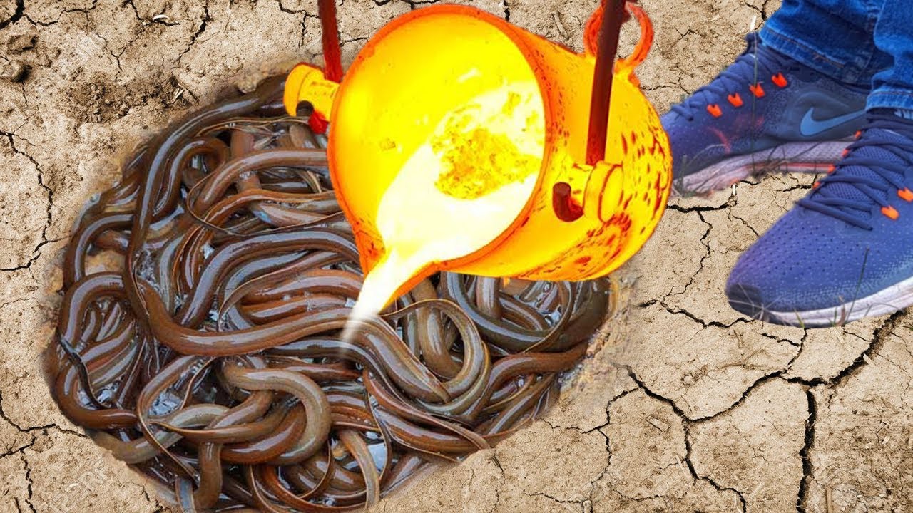 Watch Now Experiment: Lava vs Baby EEL Underground Experiment: Lava vs Baby EEL Underground