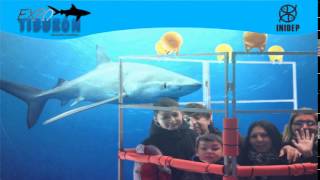 DIA 2 Expo Tiburon246