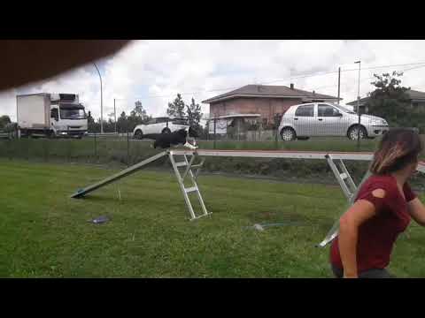 Running contact naif