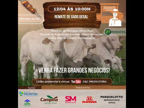64º Remate de Gado Geral! No Pavilhão de Remates Hainz Post!  Palmitos - SC, dia  12/04,  10:30 hs.