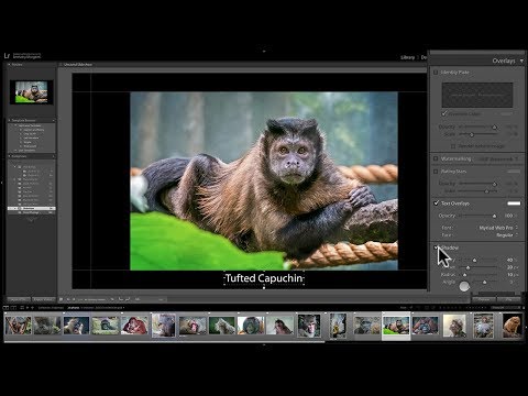 Mastering Lightroom Classic CC - 30: Slideshow Module