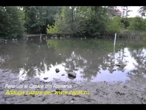 Cazare Pielcani, Olt - Cazat.ro