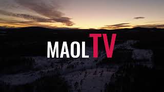 Vintertäckt skog i skymning