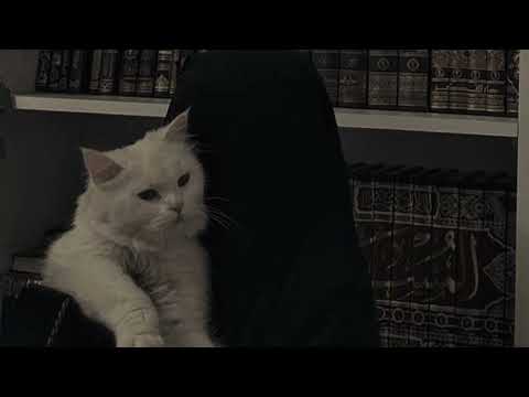 Qalbi Surror - Shukran Laka Rabbi | Noor Test Network (Female Cover)