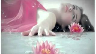 Dalda Çıkmış Bir Elma - Nurdan Torun