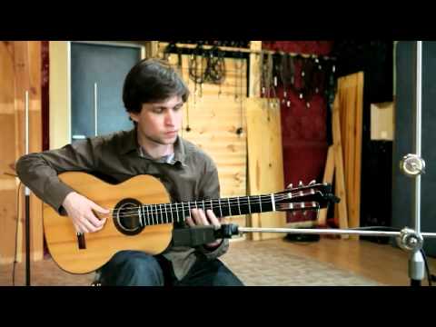 Adam Pavlíček - Sněhová vločka