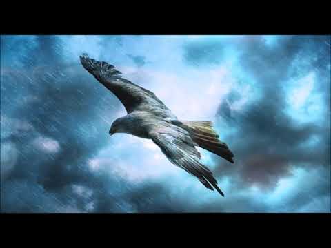 Sapnas.Faktas. Dream.