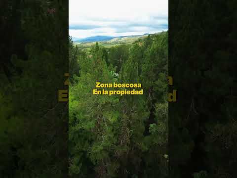 Lotes, Venta, Dagua - $290.000.000