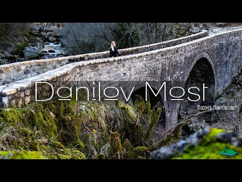 Danilov Most ~ Discover Montenegro in colour ™ | 🏞️🏛️🌲🌳🌿 #exploremontenegro