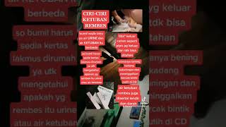 Download lagu ciri ketuban rembes mp3