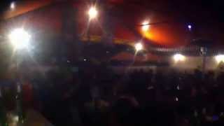 Raggarnes Gold Panda - Quitter's Raga