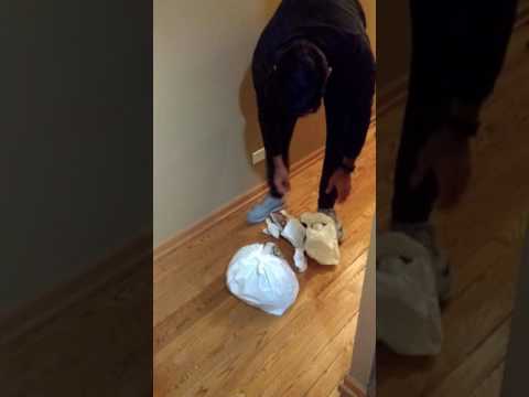 Cat inside a polybag