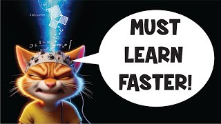 Desperate Cat Hacks Her Brain to Pass a Test