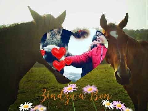 Pořádný balík sena