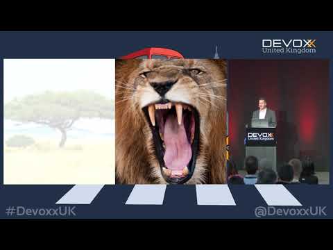 The Mindful Developer: The Neuroscience of Stress Management