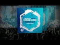 House EDM Essentials - NI Massive Presets - CONNECT:D Audio Part 2