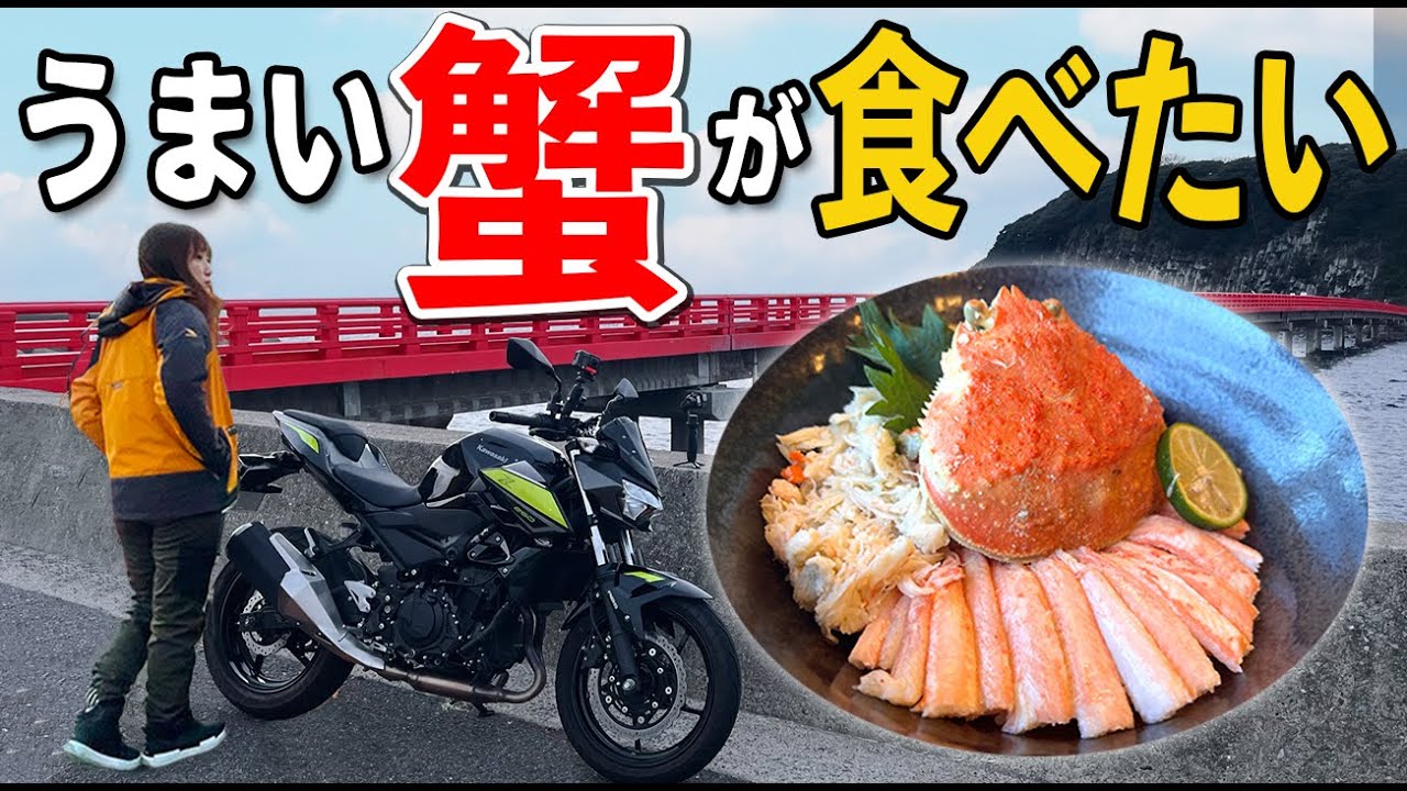 【福井】冬の味覚ツーリング｜究極のカニ丼を求めて福井レンタルバイク旅【Z250】【越前ガニ】